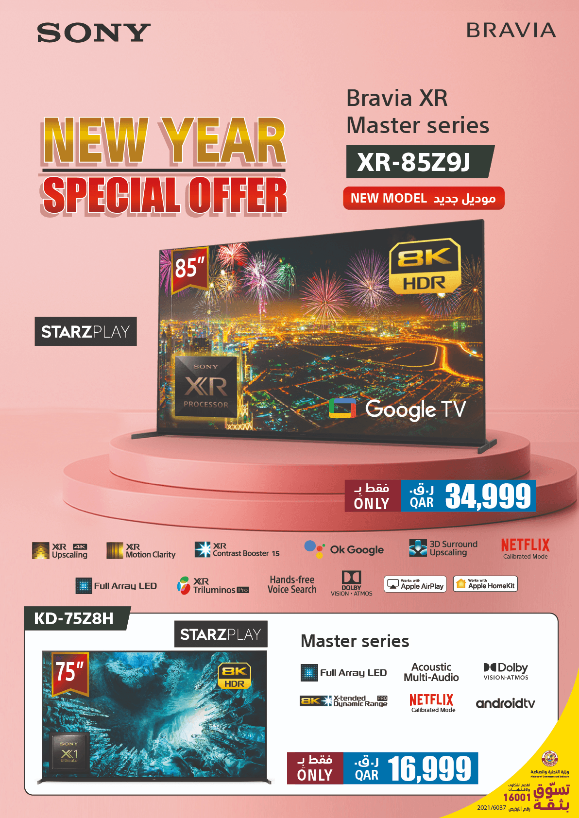 Sony Flyer Example