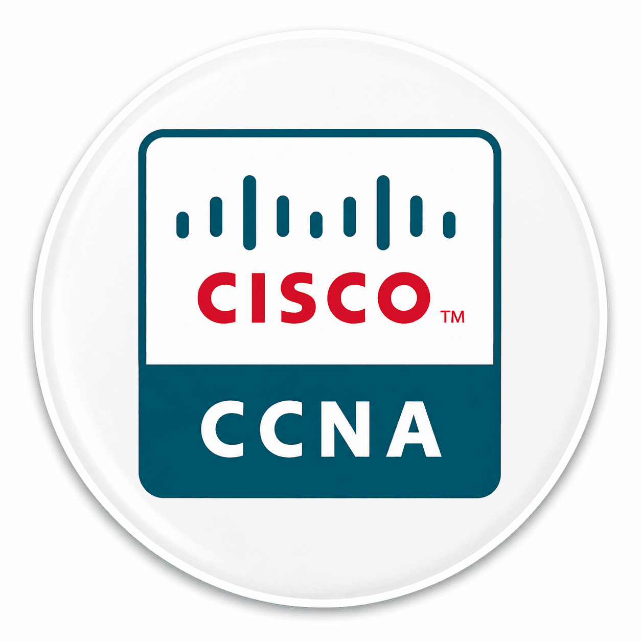 Cisco Sticker